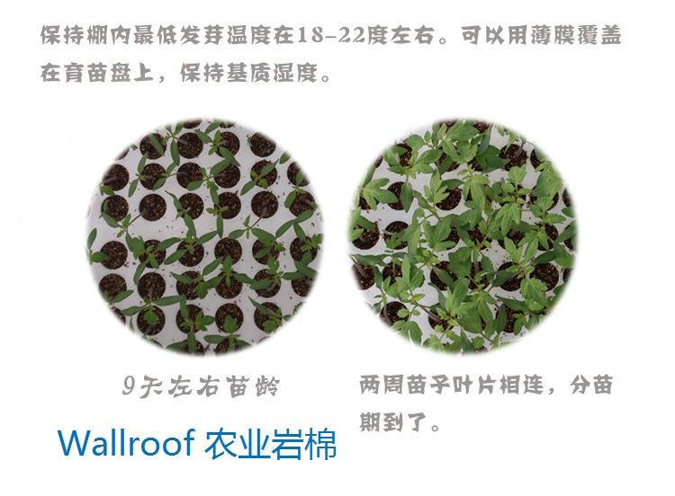 Wallroof农业岩棉/农业多孔纤维棉/无土栽培基质农业岩棉