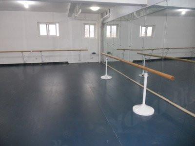 舞台舞蹈教室专用耐磨防滑高弹力PVC塑胶卷材地板