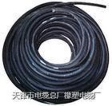 塑料变频电力电缆ZR-BPYJVP1-2
