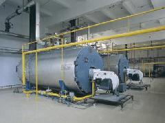 其它工业锅炉 艺能专业制造:固定炉排导热油炉