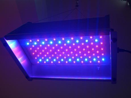LED植物生长灯