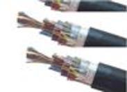 屏蔽控制电缆/KVVP2电缆