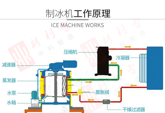 超市制冰机500公斤片冰机火锅店毛肚铺冰制冰机价格柯利雷