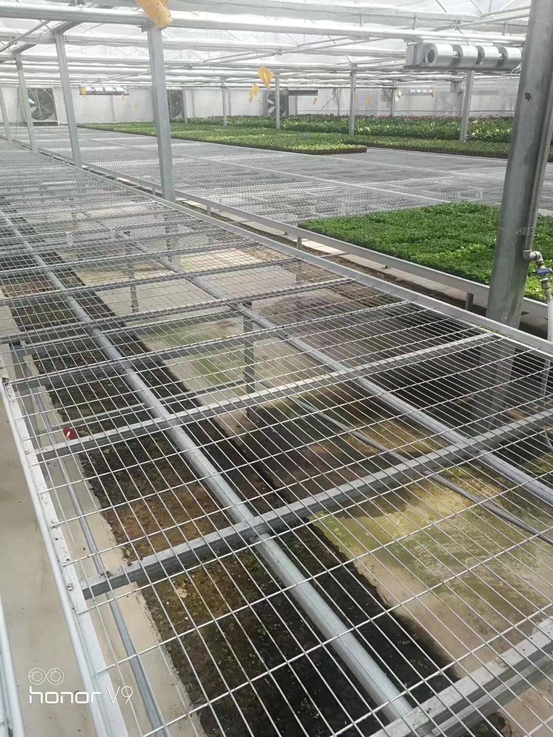 优质苗床网花卉移动苗床在现代农业中的应用