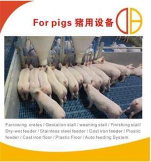 养猪设备供应商/得八兄弟机械sell/养猪设备