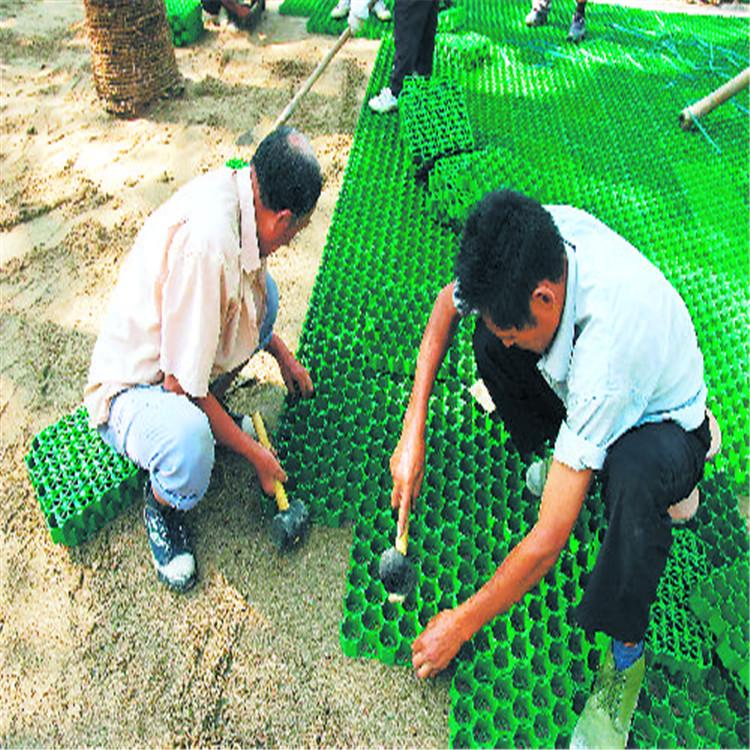 塑料植草砖,草格生产厂家日库存5000方