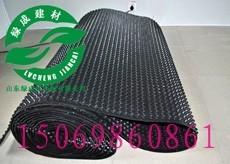 供应怀化排水板/邵阳塑料排水板