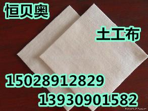 恒贝奥水利专业生产 高链式格栅除污机  齿式回转格栅除污机  回转式清污机 砂水分离器 土工布