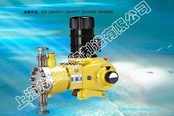 JYZR2系列液压双隔膜式计量泵(带报警装置)