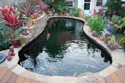 别墅室内鱼池建造  庭院鱼池设计风水设计 