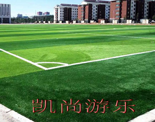 江苏苏州无锡上海常州学校人造草坪公园草坪厂家定制