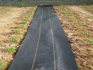 3米宽120克园林防草布多少钱一平米