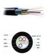 室外中心束管式轻铠装光缆（GYXTW-12B1光缆）