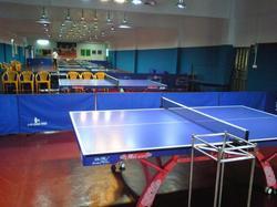 专业乒乓球地板乒乓球地板*乒乓球地板厂家*北京乒乓球地板