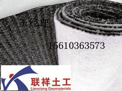 北京土工布厂家|，土工膜|覆膜防水毯{有限集团公司}欢迎您！156-1036-3573