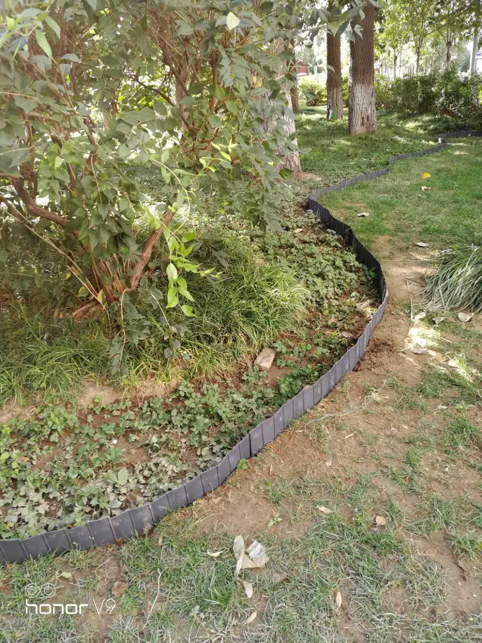花池树池围板