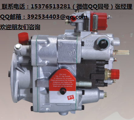 K1072WB250拌合机发动机PT燃油泵总成3655213