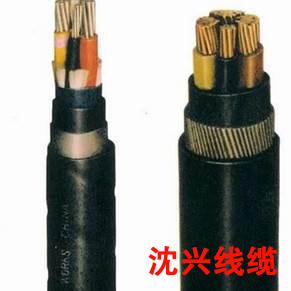 WDZ-YJFE-WDZ-YJFE22低烟低卤、低烟无卤交联聚乙烯绝缘聚氯乙烯护套（钢带铠装）电力电缆