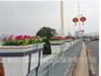 厂家直销 立体垂直绿化长方形蓄高架桥阳台人行天桥园艺花盆