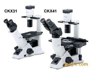 奥林巴斯显微镜CKX41