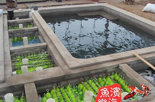 工厂机关单位企业 鱼池设计建造 观景鱼池