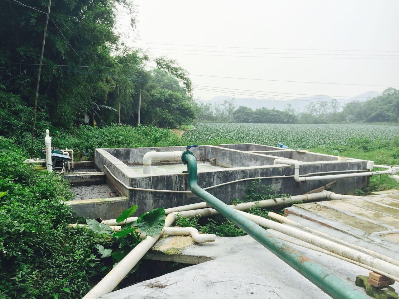 养猪废水处理设备养猪场污水处理中水回用设备