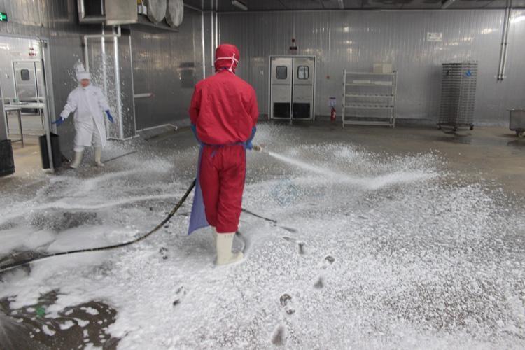 河北食品级泡沫清洗机工厂生产线可移动式泡沫清洗机厂家供应