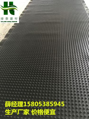 惠州30高2.5公分排水板用于地下室建筑作用