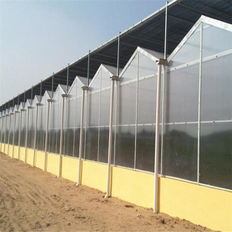 设计安装智能阳光板温室大棚