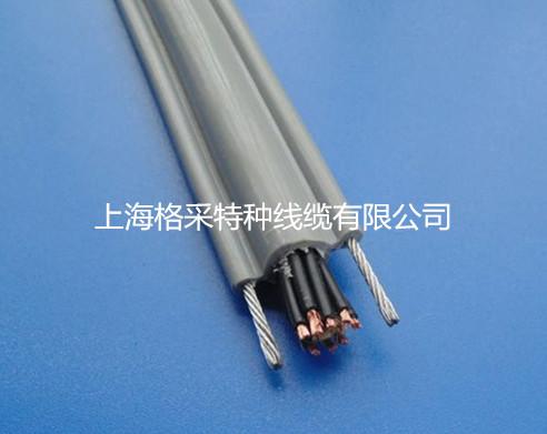 单钢丝葫芦电缆双钢丝电动葫芦电缆RVVG