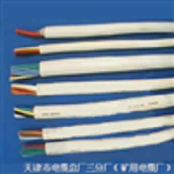 天津RVVP屏蔽电缆价格