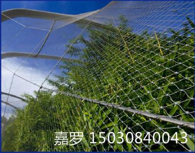 浙江不锈钢丝绳网，温州钢丝绳防护网，台州金属绳网