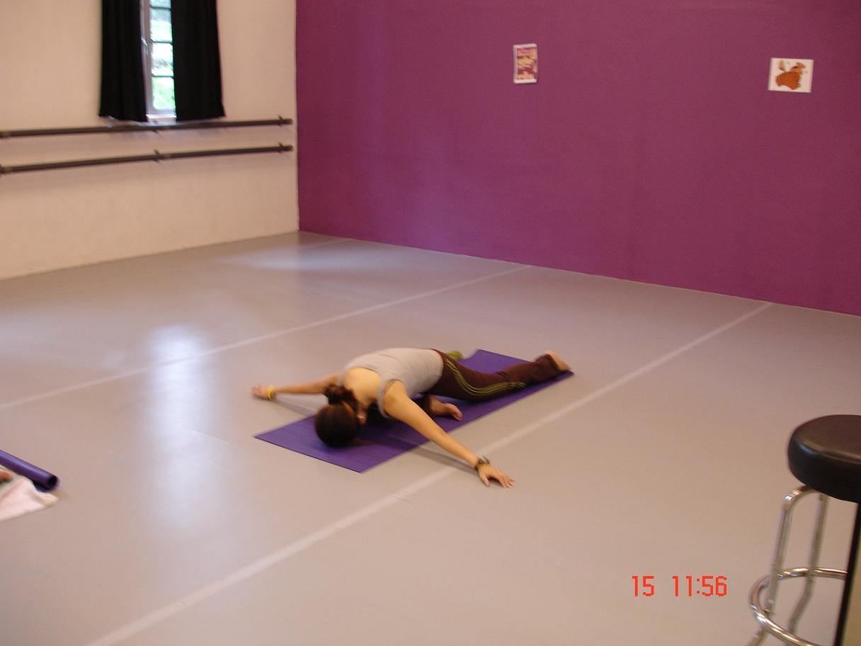舞蹈专用地胶 舞蹈专用地板 舞蹈专用地板胶