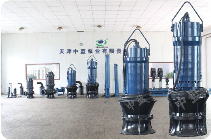 天津中蓝泵业1000QZB-70轴流泵
