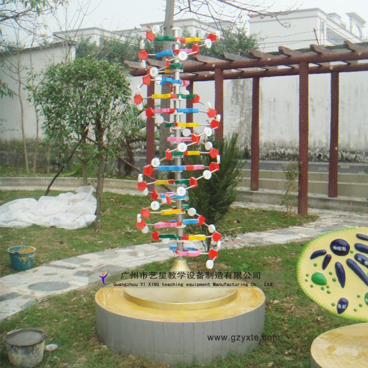 供应DNA模型 生物园模型生物教学仪器