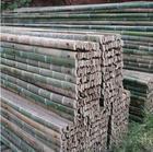 长期生产批发供应优质竹跳板、竹片、楠竹、菜竹杆