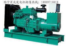 青海地区厂家直销高原型发电机组/80KW康明斯柴油发电机组