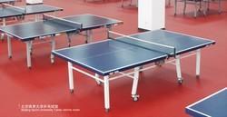 PVC塑胶地板-乒乓球地板