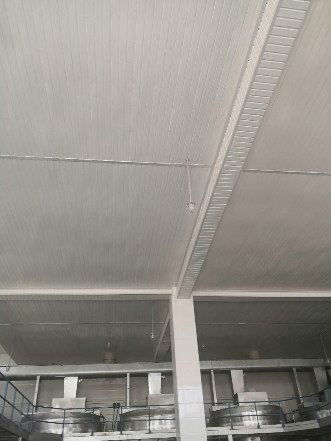 UPVC洁净挂板 厂房车间防腐防火吊顶天花板扣板