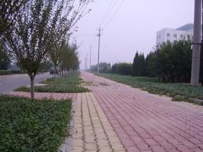 山东道路绿化设计,园林绿化设计,潍坊丽景园林苗木120090318