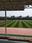 山东德州足球场人造草坪铺设