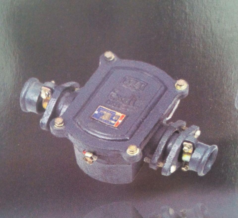 BHD2-100/660(380)矿用防爆低压电缆接线盒
