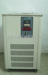 低温冷却液循环泵仪器DLSB-20L/20
