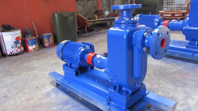 利欧50ZW15-30自吸排污泵污水泵请水泵柴油机泵增压泵排灌泵