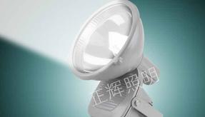 CNT9170防震投光灯-温州市正辉照明有限公司