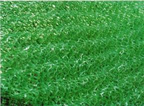 贵州绿化土工网垫产地安顺网垫生产