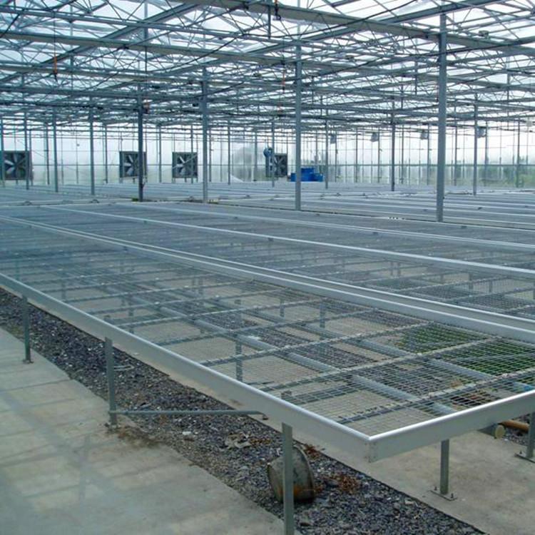 航迪温室移动育苗床提高产量 智能农业设备移动苗床