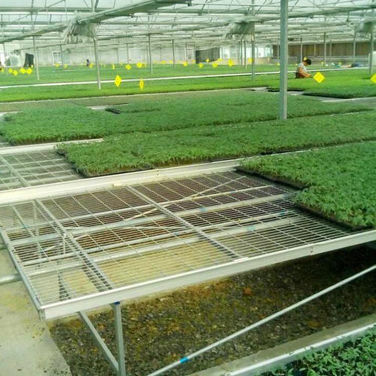 航迪温室移动育苗床提高产量 智能农业设备移动苗床