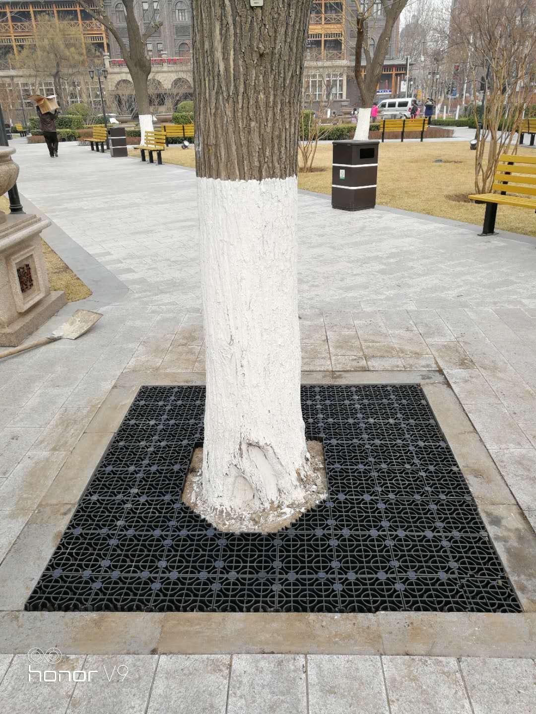 北京护树板