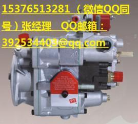 K2008-轨道车发动机PT燃油泵总成3655104